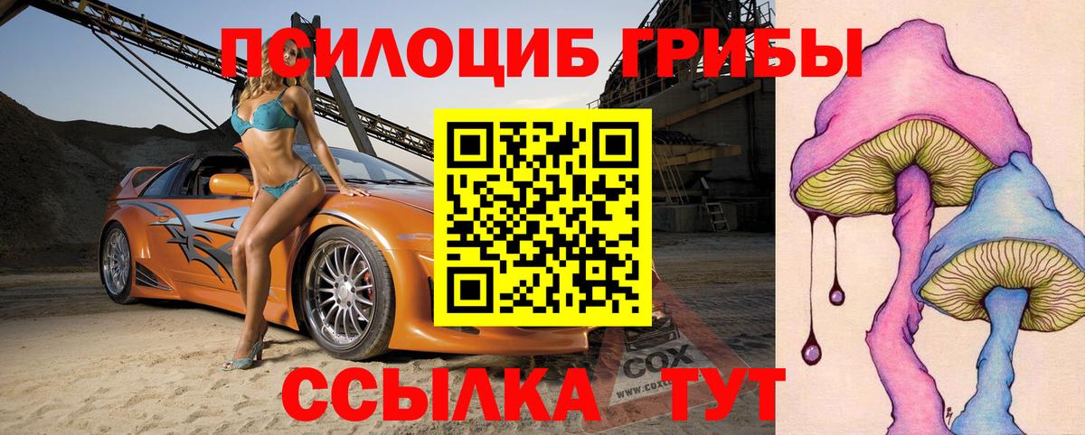 Галлюциногенные грибы Psilocybe  Вход с VPN  Шали 